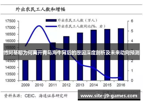 博阿基耶为何离开青岛海牛背后的原因深度剖析及未来动向预测