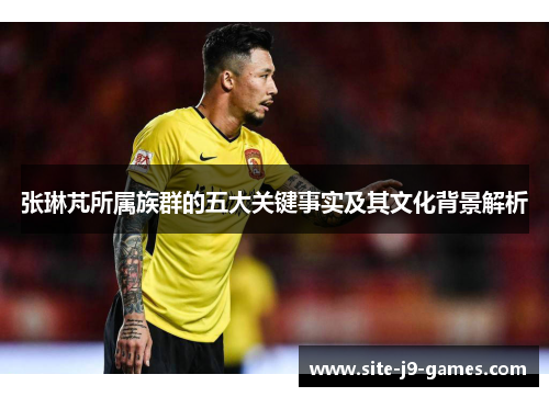 张琳芃所属族群的五大关键事实及其文化背景解析