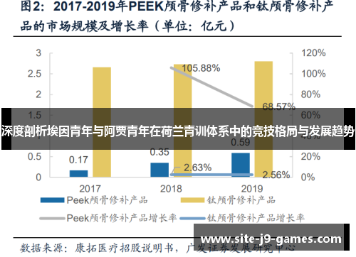 深度剖析埃因青年与阿贾青年在荷兰青训体系中的竞技格局与发展趋势 深度剖析埃因青年与阿贾青年在荷兰青训体系中的竞技格局与发展趋势