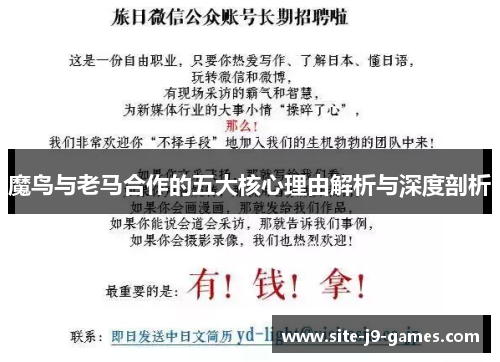 魔鸟与老马合作的五大核心理由解析与深度剖析